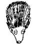 Hedgehog